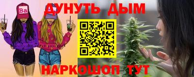 стаф Новодвинск