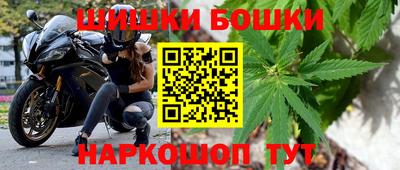 бошки Новозыбков
