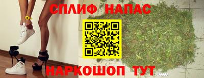 бошки Новозыбков
