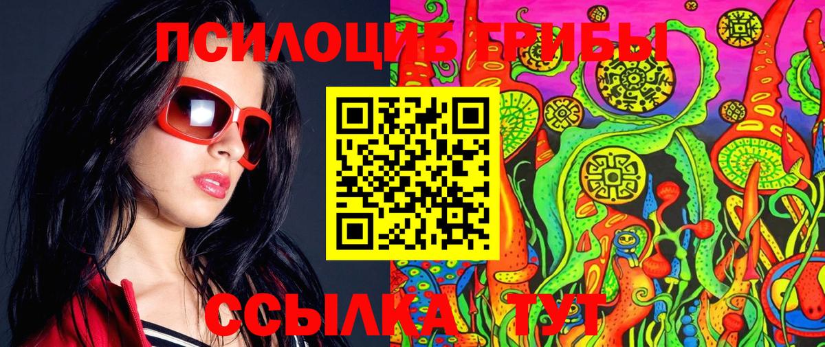 где купить наркотик  Галлюциногенные грибы прущие грибы  Туапсе  Вход с VPN  Псилоцибиновые грибы прущие грибы 